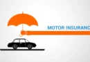 Best Auto Insurance Options in Europe