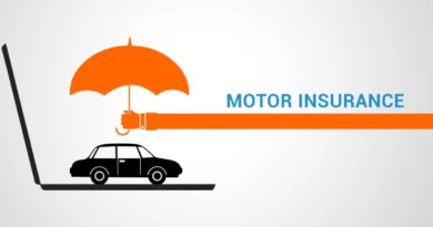 Best Auto Insurance Options in Europe